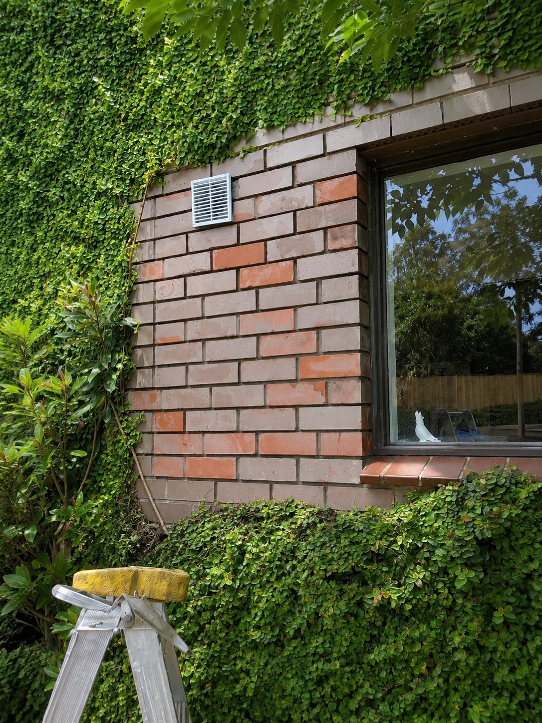 Plaster and Wall Repairs — recent work by Doncaster Handyman